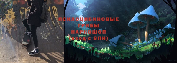 кокс Ельня