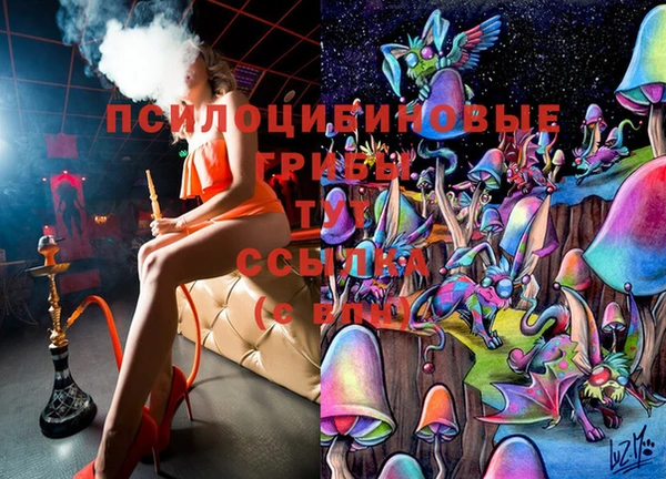 кокс Ельня