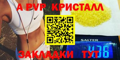 индика Новозыбков