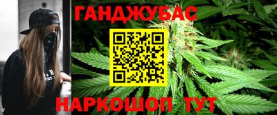 индика Новозыбков