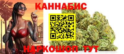 индика Новозыбков