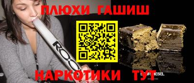 индика Новозыбков