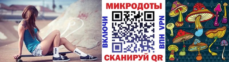 Псилоцибиновые грибы Psilocybe  Светлоград 