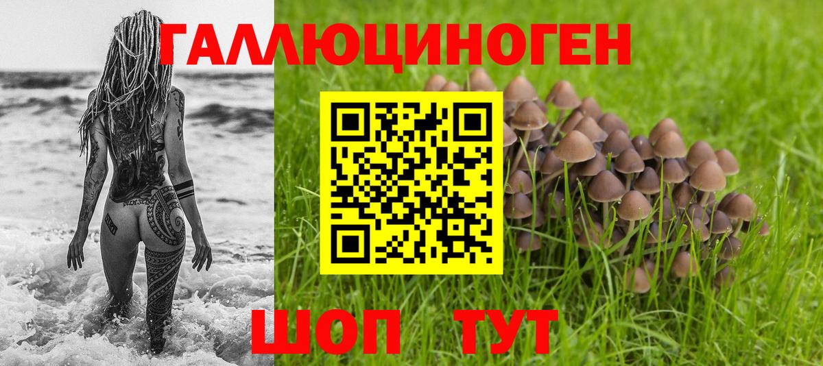 Галлюциногенные грибы MAGIC MUSHROOMS Светлоград