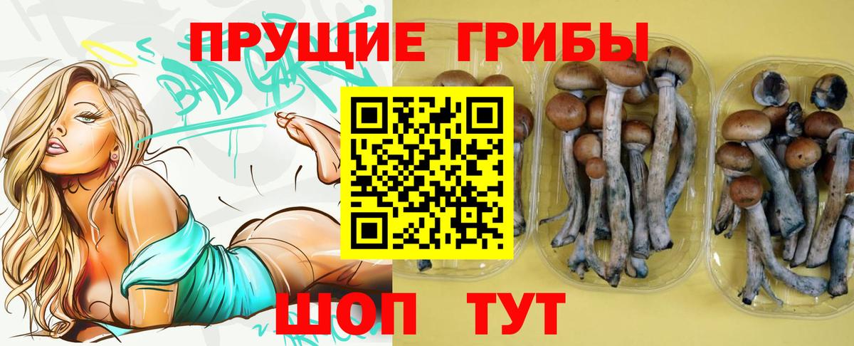 Галлюциногенные грибы MAGIC MUSHROOMS  Вход с VPN  хочу   Светлоград  Галлюциногенные грибы Psilocybine cubensis 